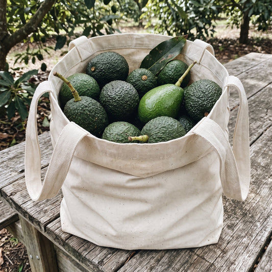 Avocado Bag: canvas tote filled with Hass and Fuerte avocados