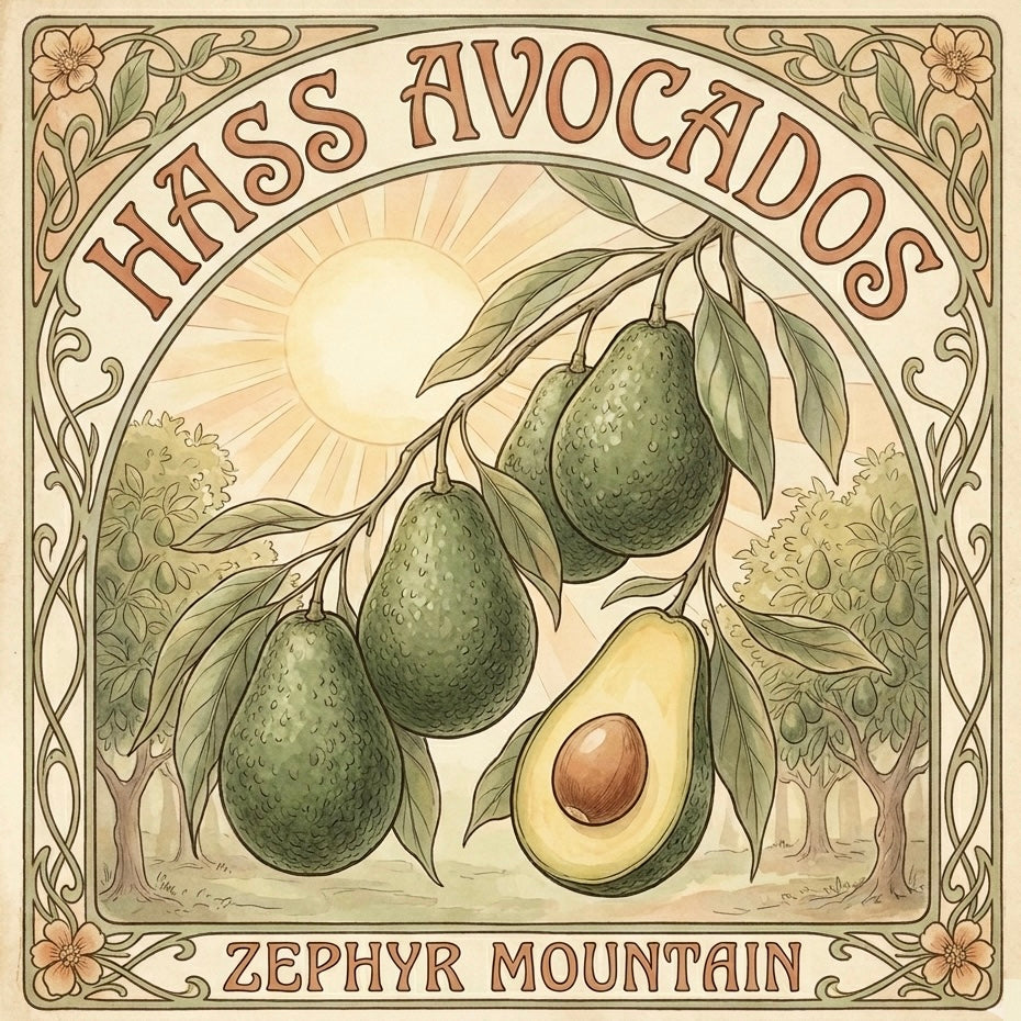 Hass Avocados
